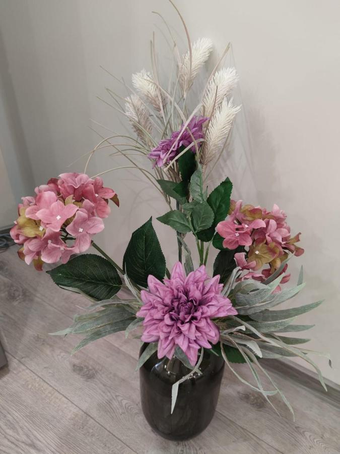 Flowers Apartment Dobrich Exterior foto